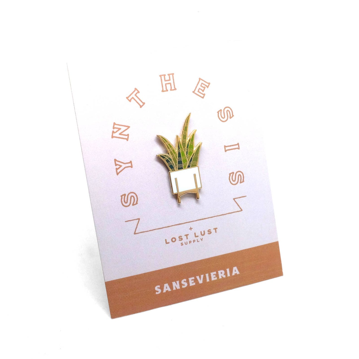 Synthesis Sansevieria Pin
