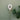 XL Plant Moisture Meter | Houseplant Tool | Accessory