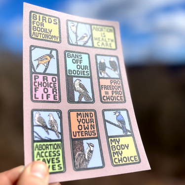 Birds for Bodily Autonomy Sticker Sheet | matte vinyl