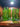Green Vase