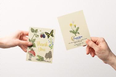 Thank You Gold Foil Nature Greeting Card (6) Boxed Set
