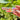 Tell Your Plants Sticker