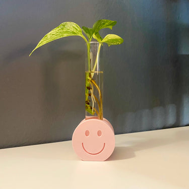 3D Printed Smiley Propagation Station, Propagation Stand