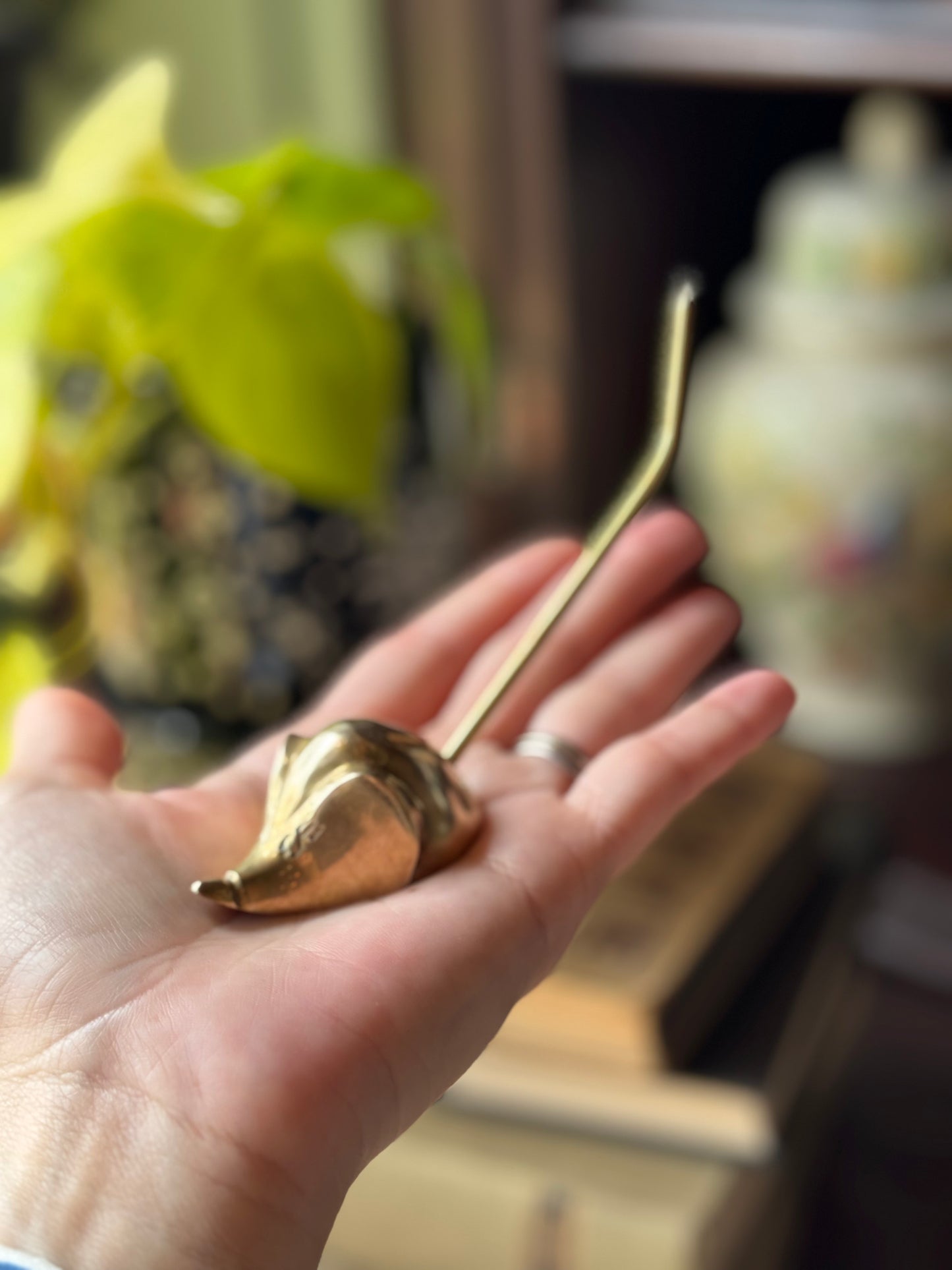 Itty bitty mouse