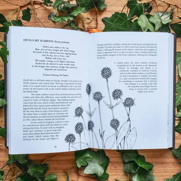 Botanical Curses and Poisons: The Shadow-Lives of Plants (Co