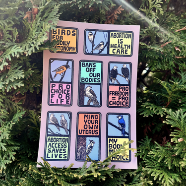 Birds for Bodily Autonomy Sticker Sheet | matte vinyl