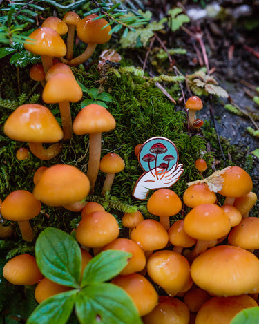 Nurture Nature Pin by Frolik Studio