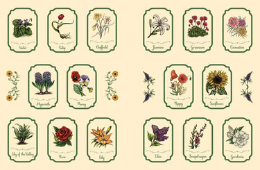 Green Witch's Sticker Book by Arin Murphy-Hiscock