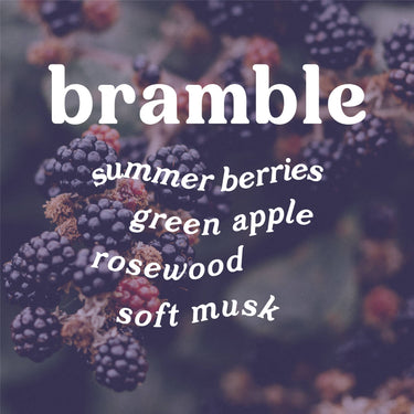 Bramble 4 oz. Hue Reed Diffuser (Blackberry + Rosewood)