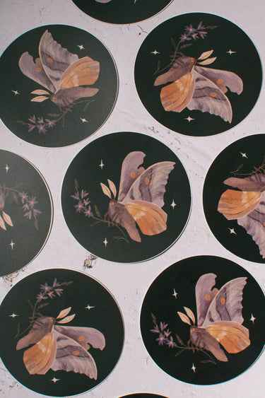 Vinyl Sticker: Wildflower Moth - 3"