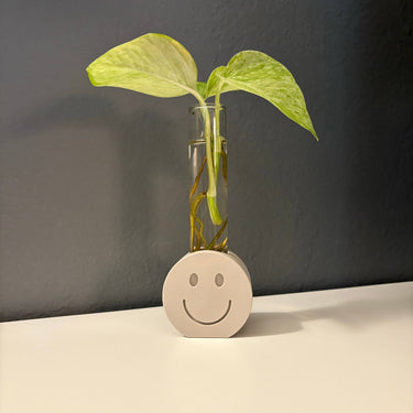 3D Printed Smiley Propagation Station, Propagation Stand