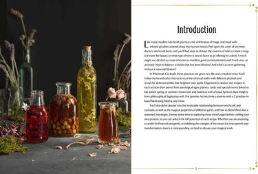 WitchCraft Cocktails by Julia Halina Hadas