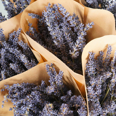 Large Dried Lavender Bundles | Aromatic Home Decor