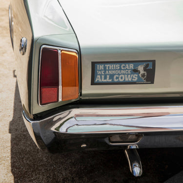 Cow Bumper Sticker