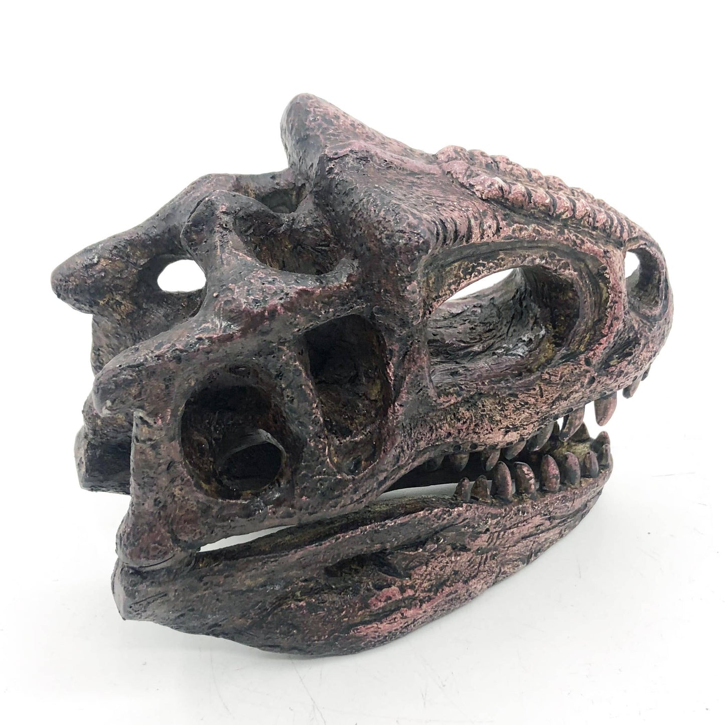 Faux Carnotaurus Mini Dinosaur Fossil Skull