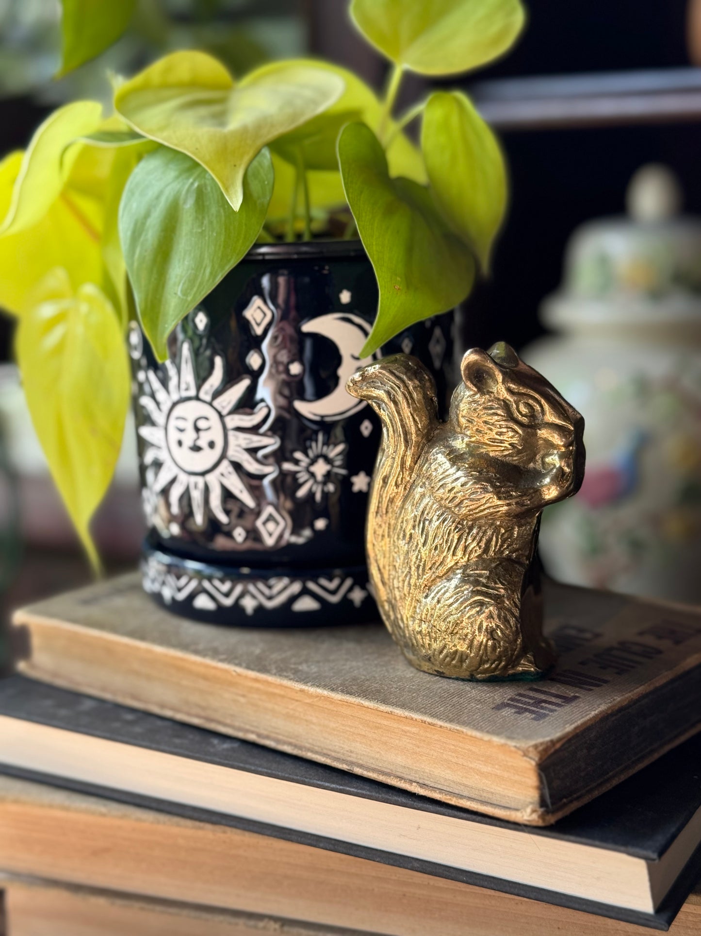 Mini heavy squirrel