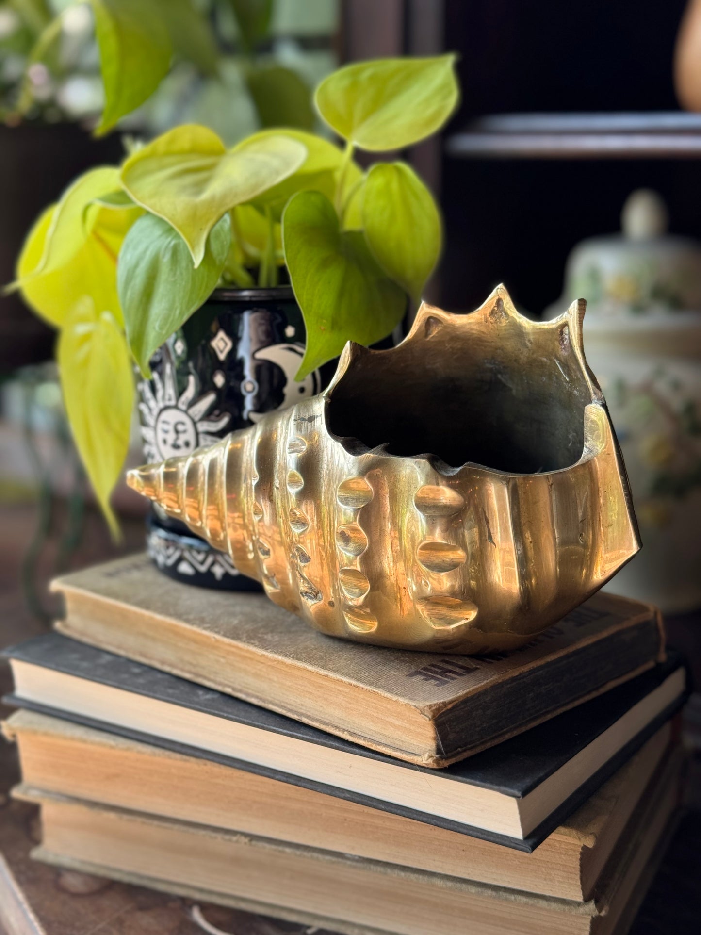 Large Shell ashtray/ planter