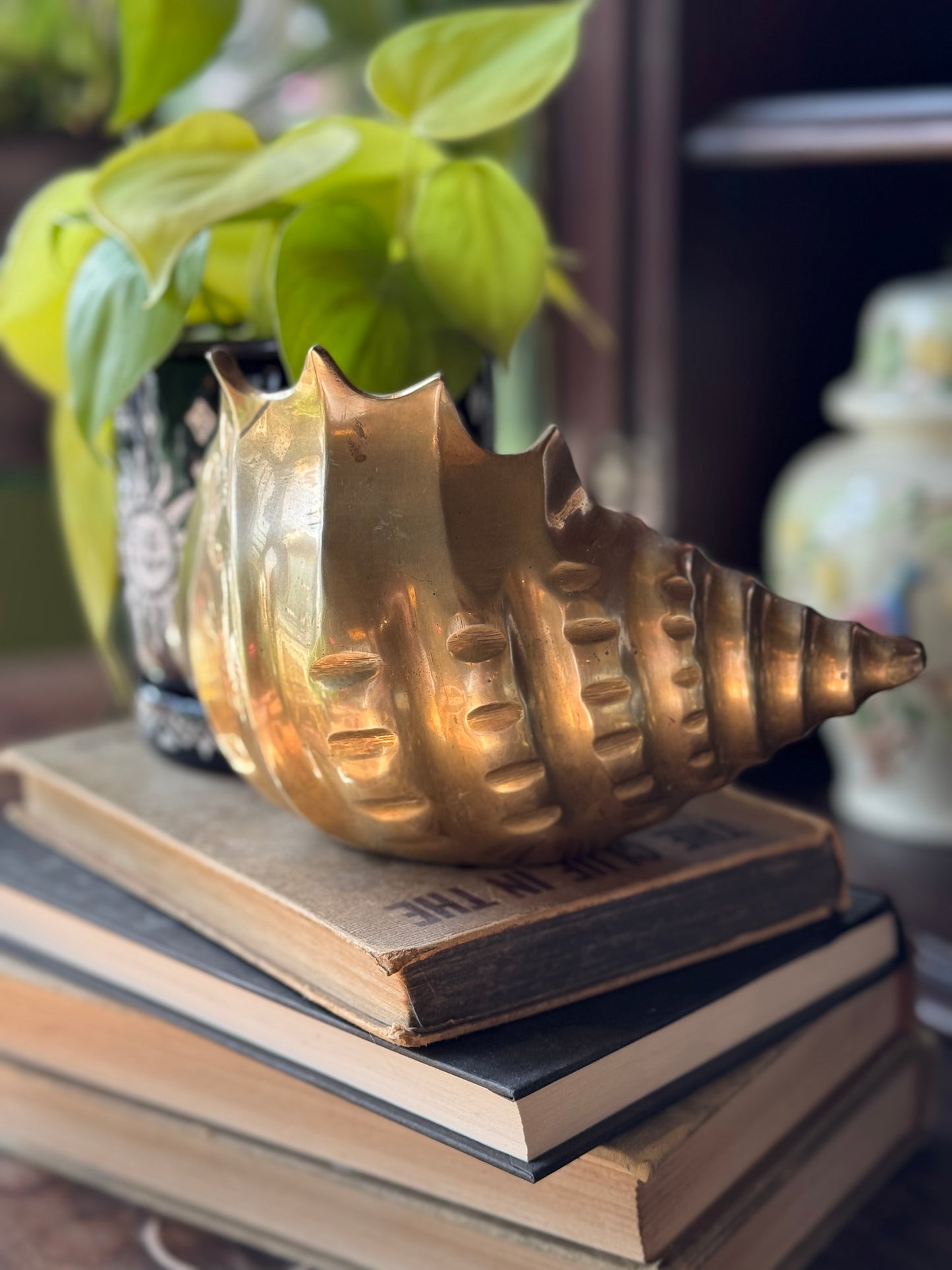 Large Shell ashtray/ planter