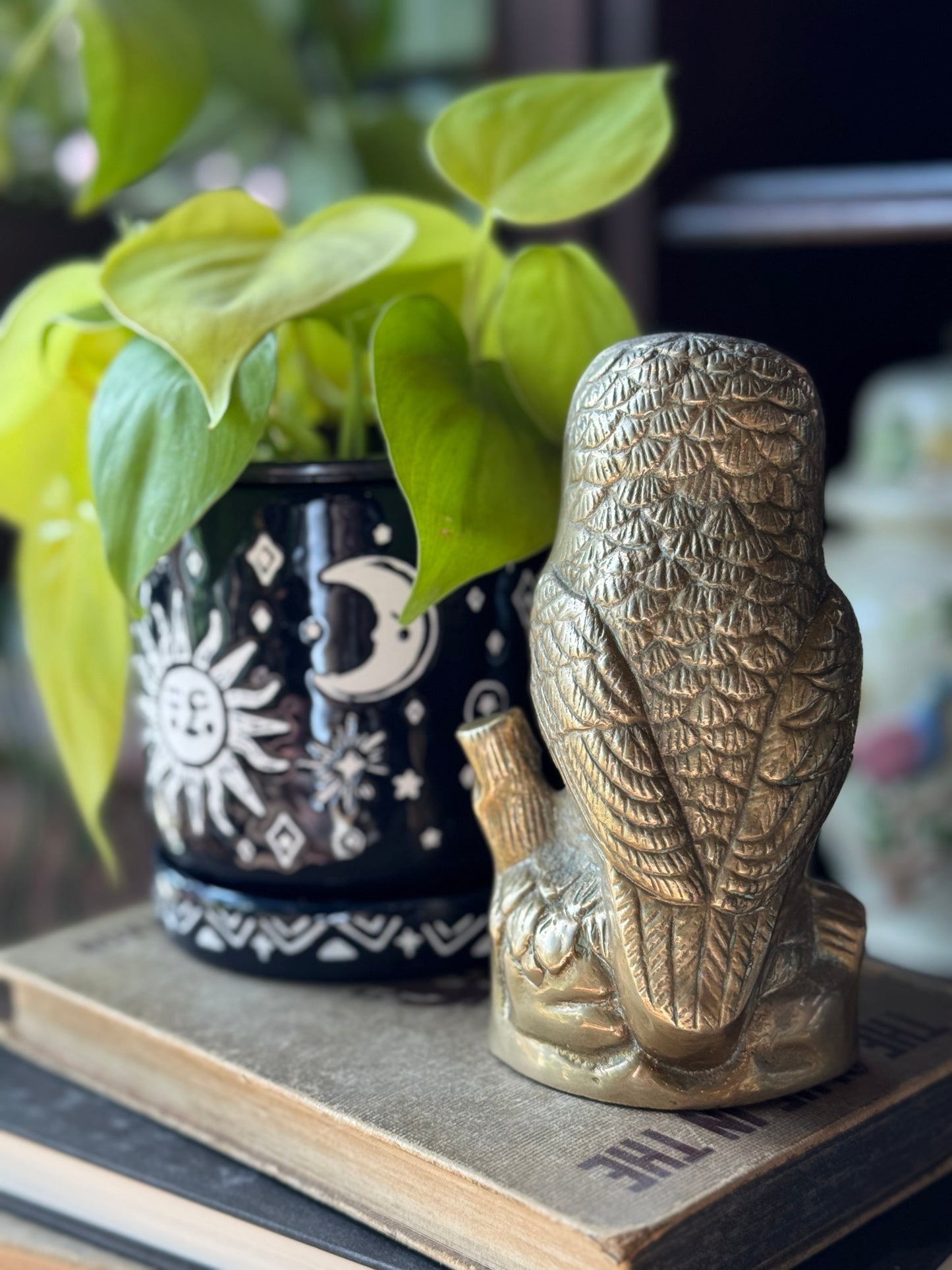 Wise Perched Owl
