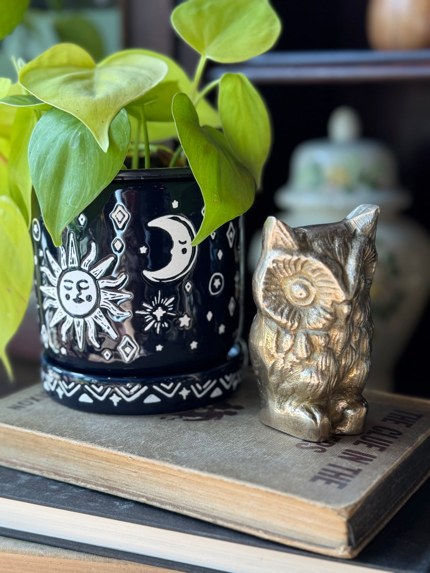 Fluffy Owl Paper weight