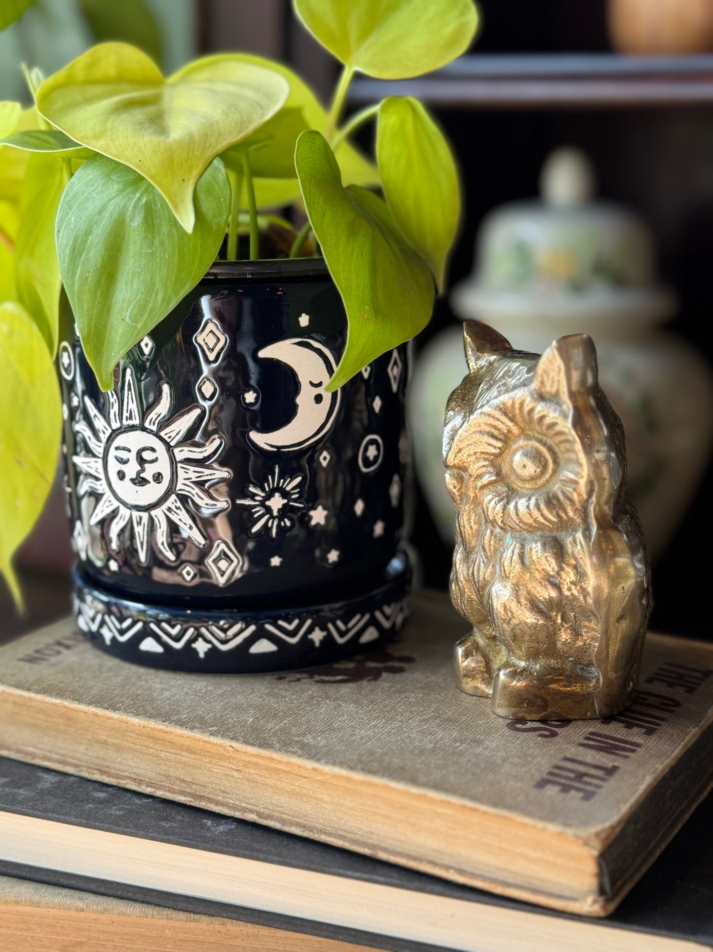 Fluffy Owl Paper weight