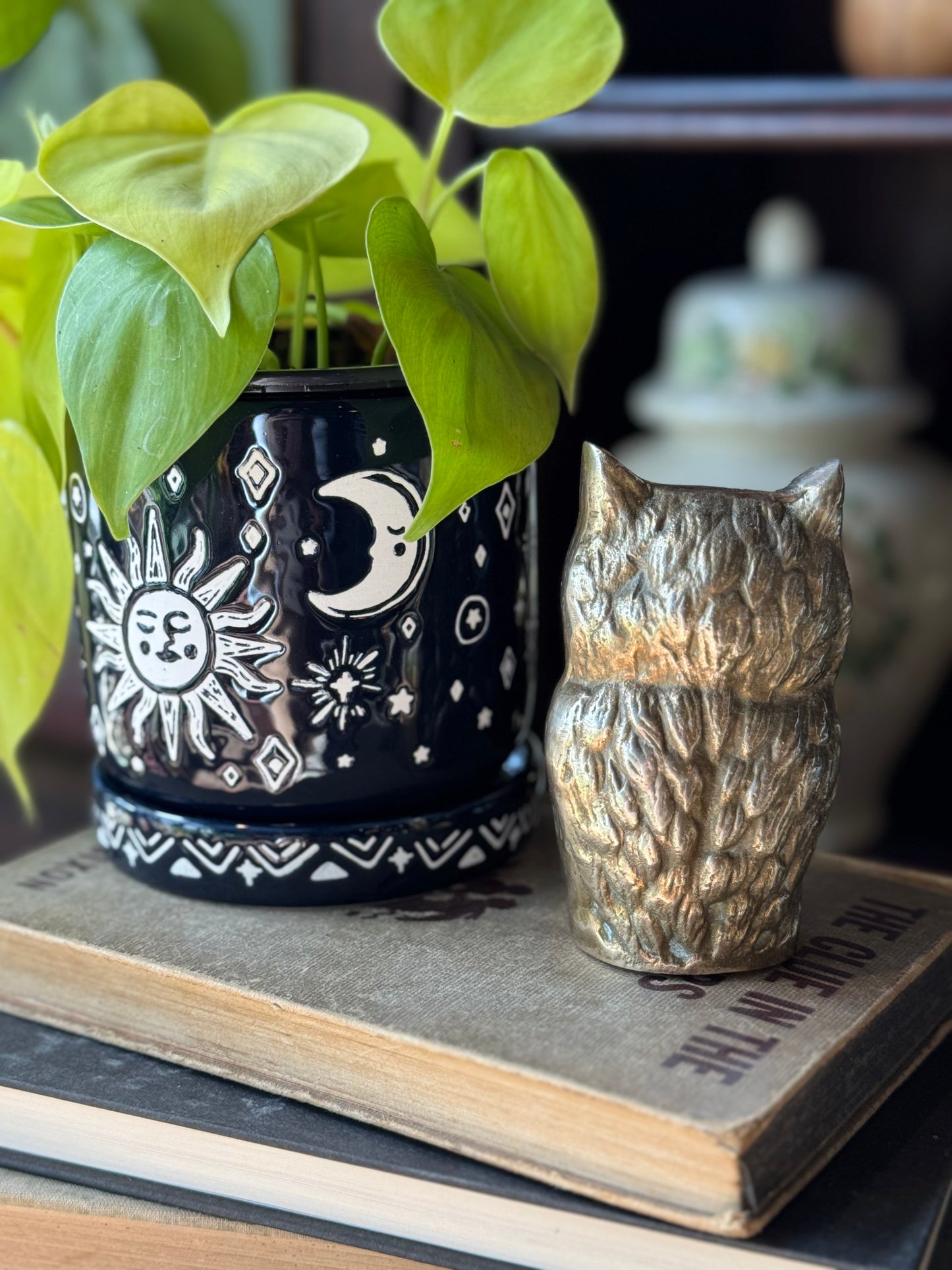 Fluffy Owl Paper weight