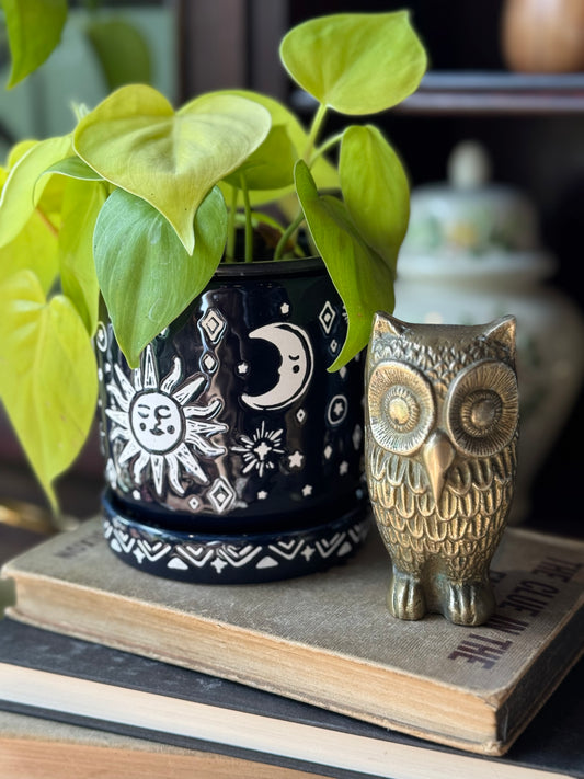 Long Legged Owl
