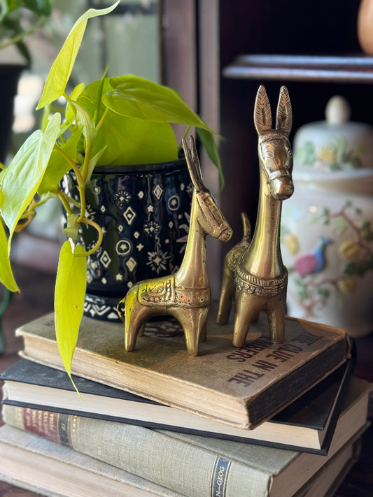 Bestie Burro friends