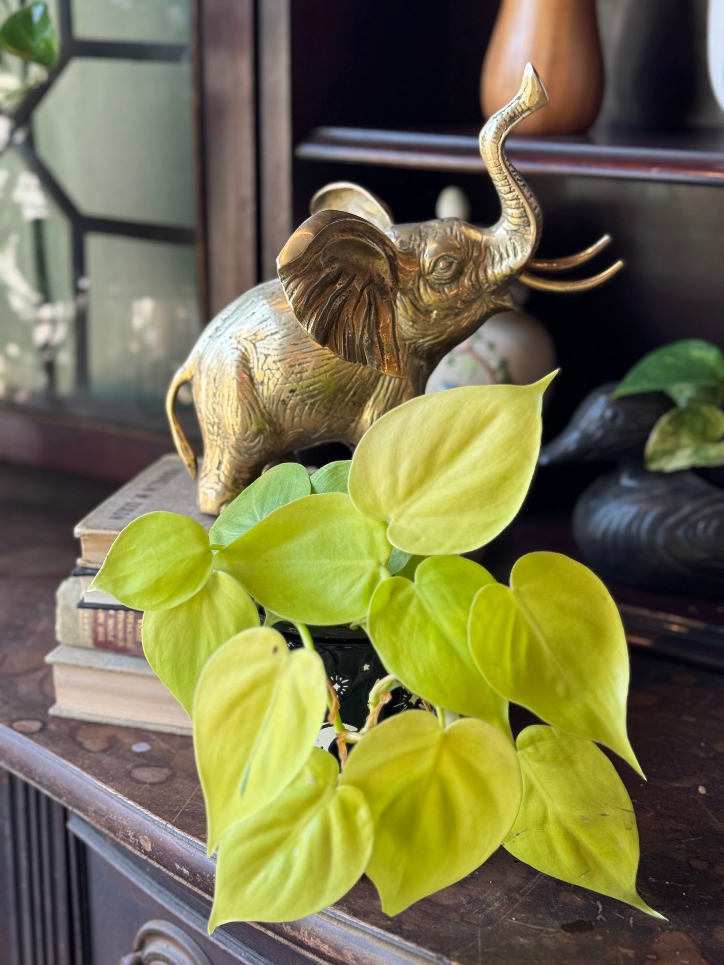 Heavy detailed lucky elephant