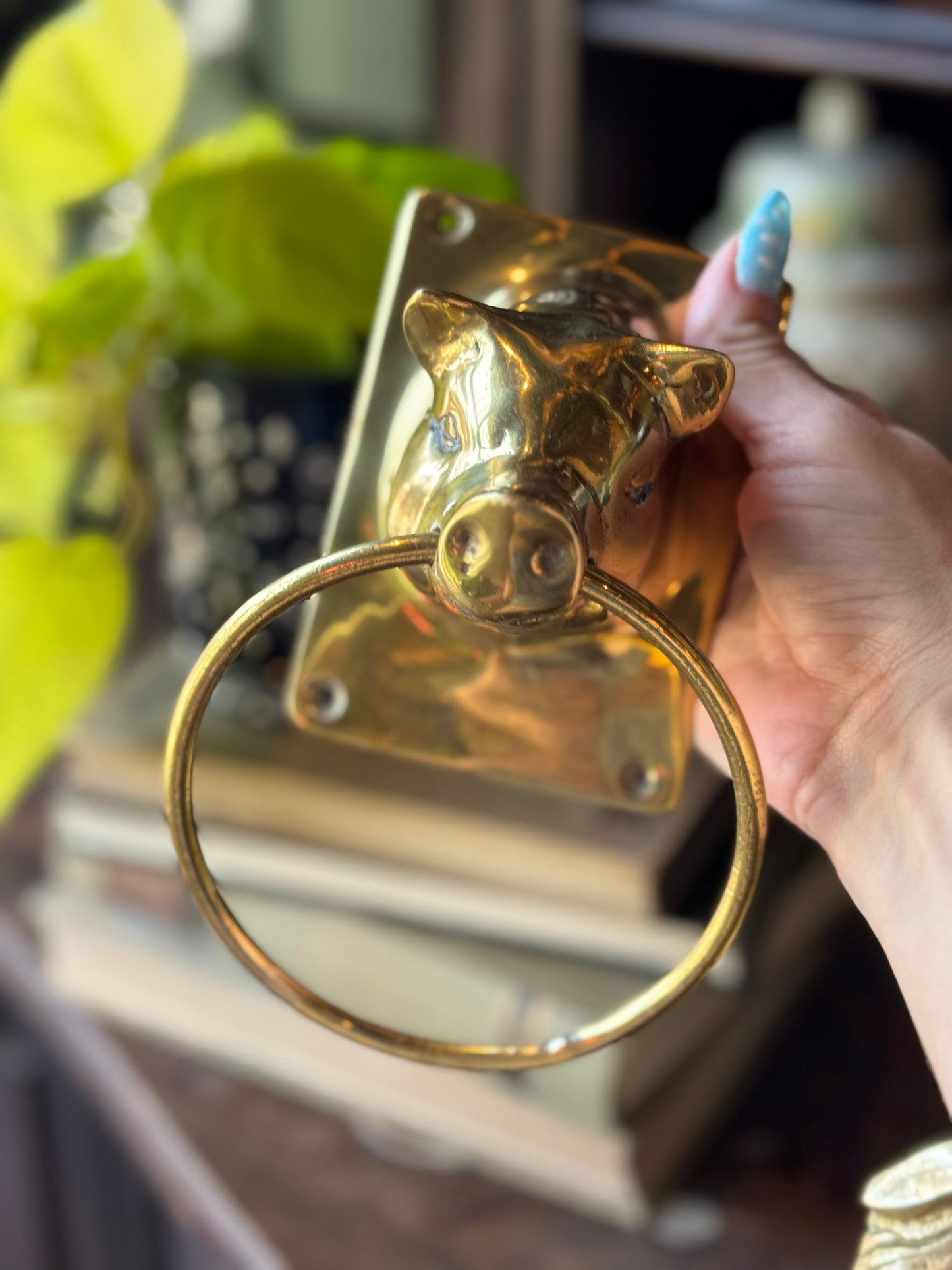 Brass plated swine towel holder