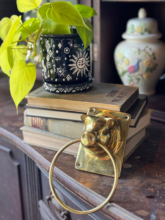 Brass plated swine towel holder