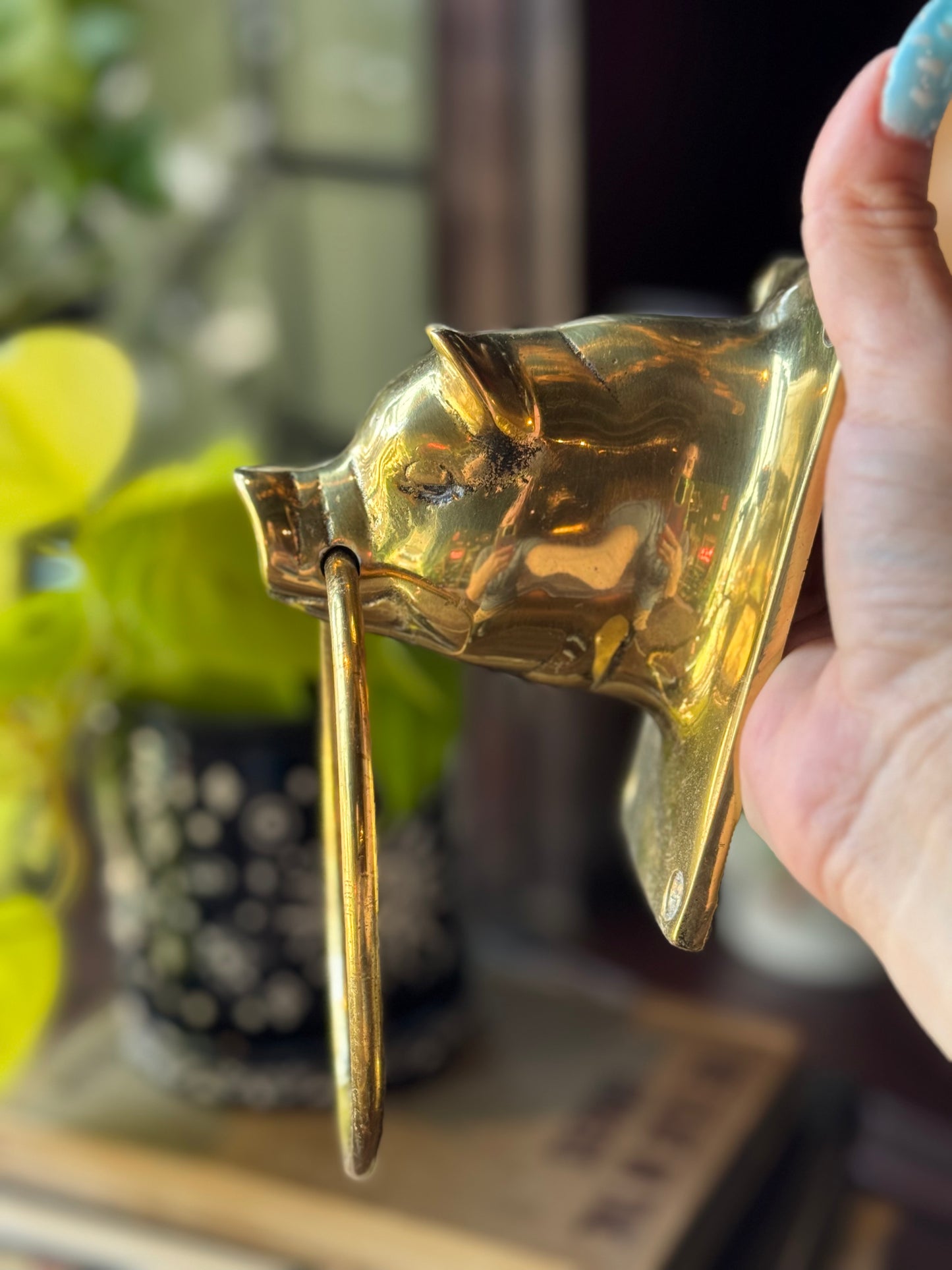 Brass plated swine towel holder