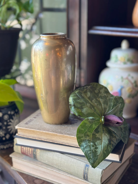 Delicate heavy etched vase