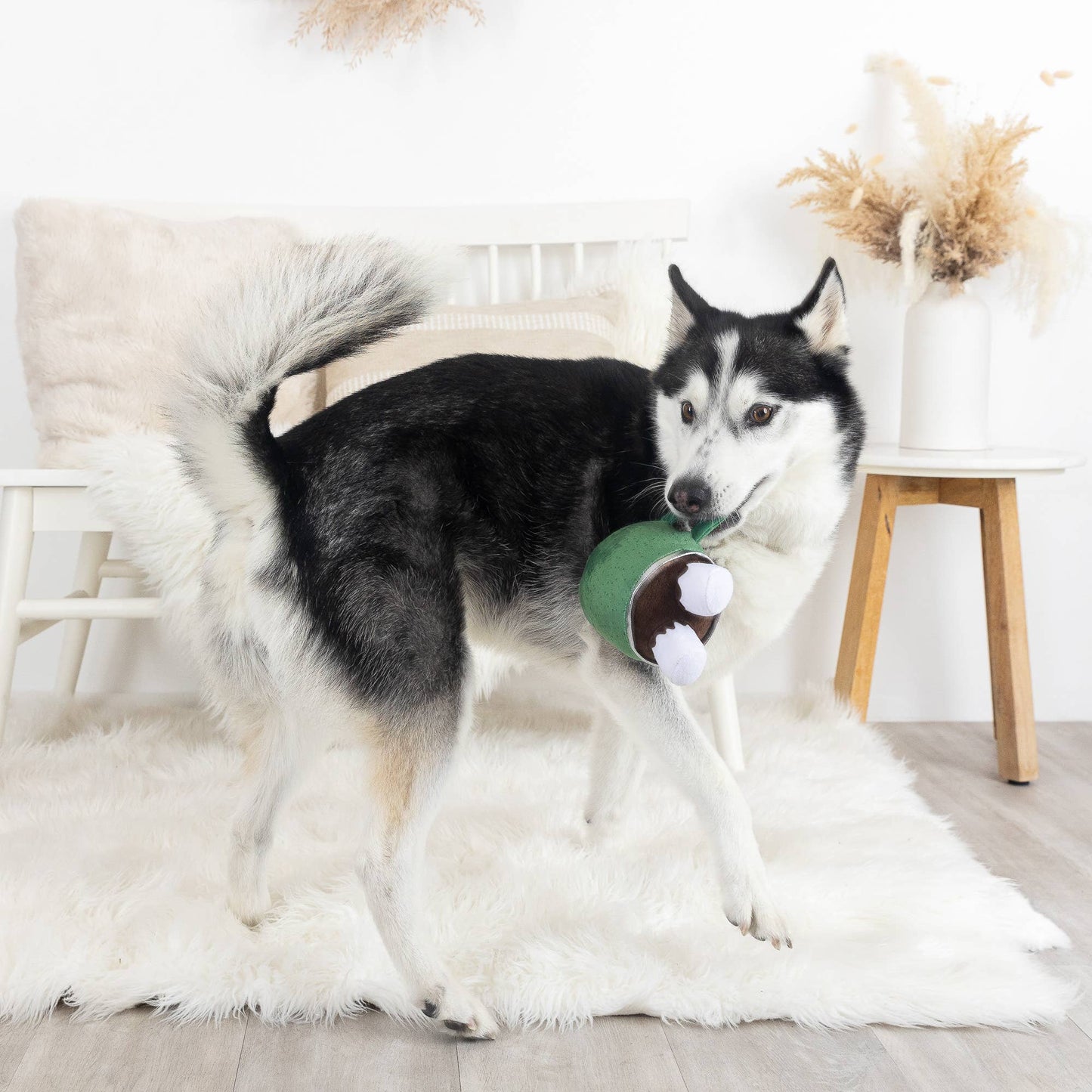 Wagsdale Hot Cocoa Squad Plush Dog Toy