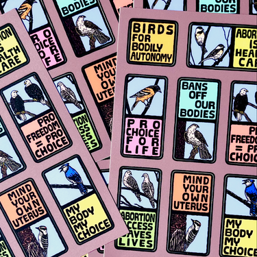 Birds for Bodily Autonomy Sticker Sheet | matte vinyl