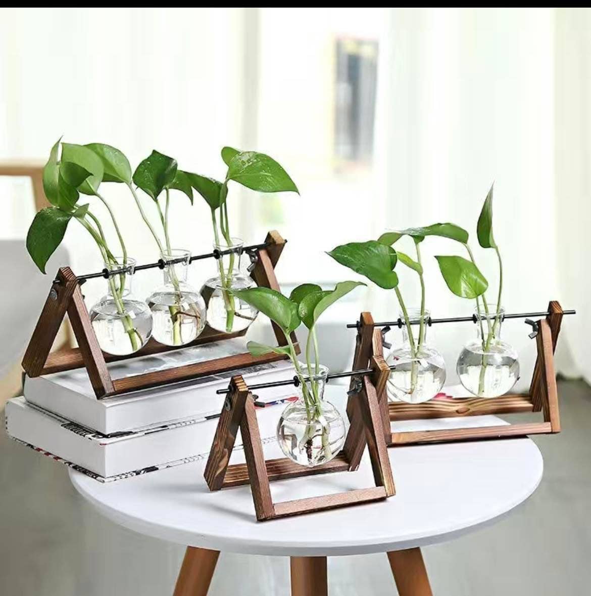 Hydroponic Planter, Flower Pot, Mini Plant