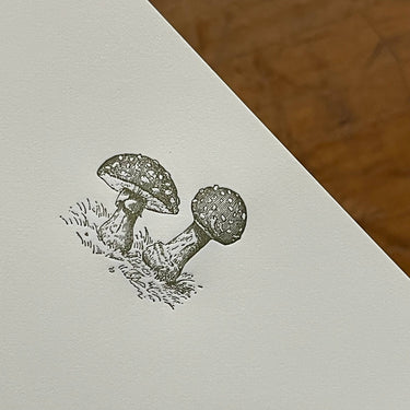 Stationery / Mushrooms