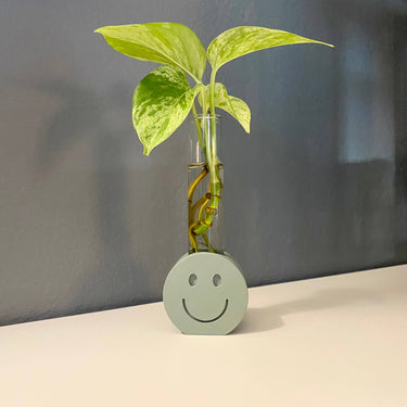 3D Printed Smiley Propagation Station, Propagation Stand