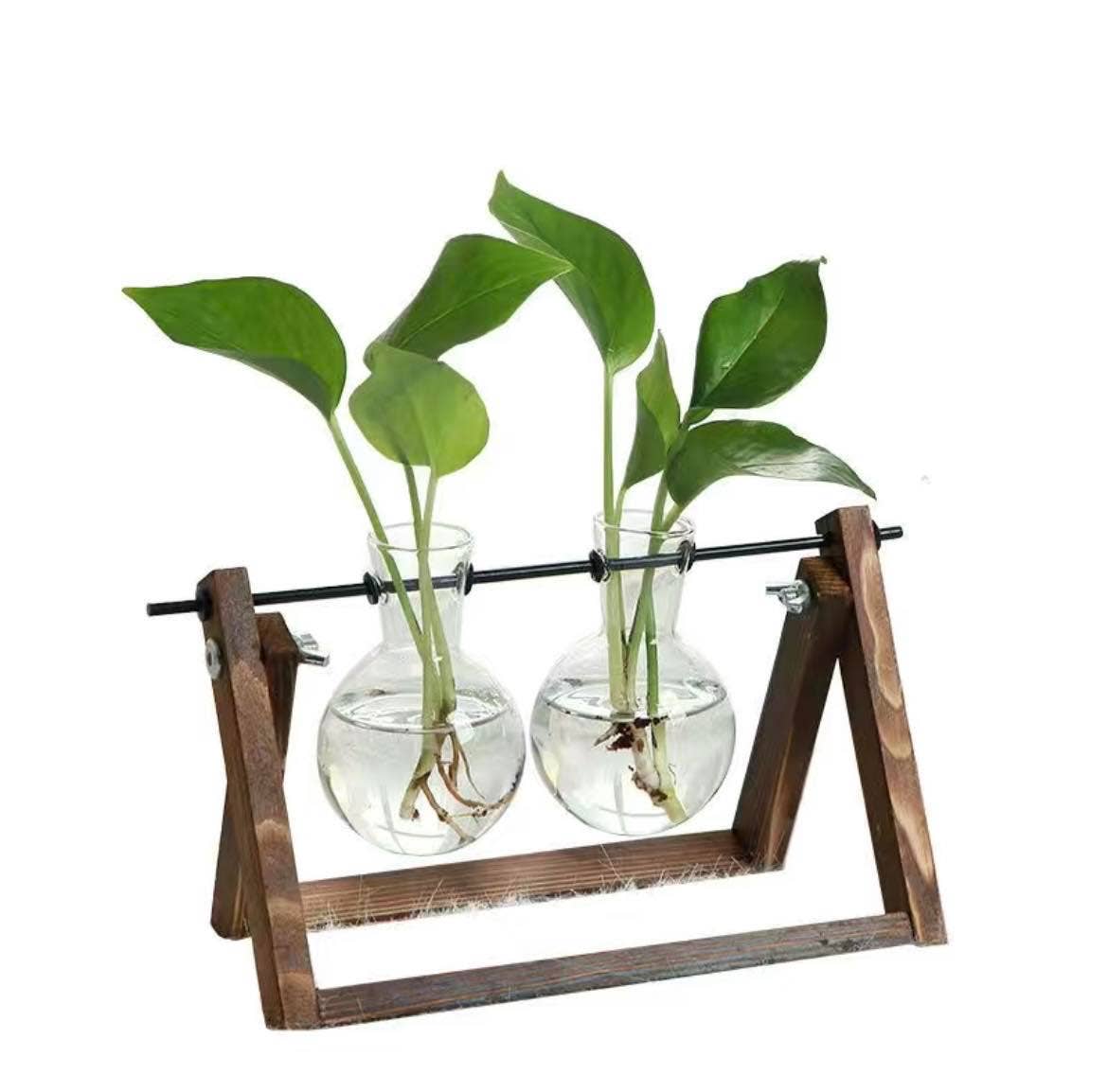 Hydroponic Planter, Flower Pot, Mini Plant