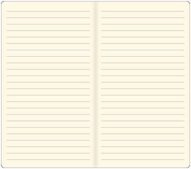 Nutmeg Voyager Notebook