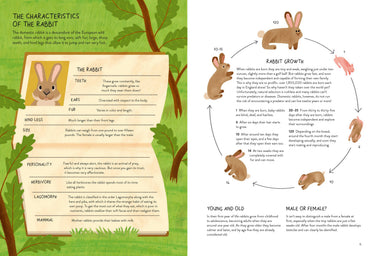 Rabbitology