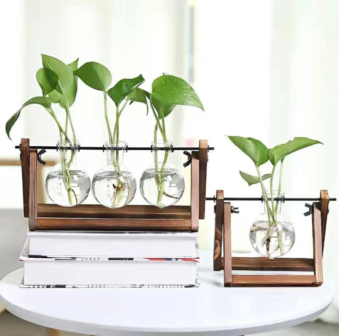 Hydroponic Planter, Flower Pot, Mini Plant