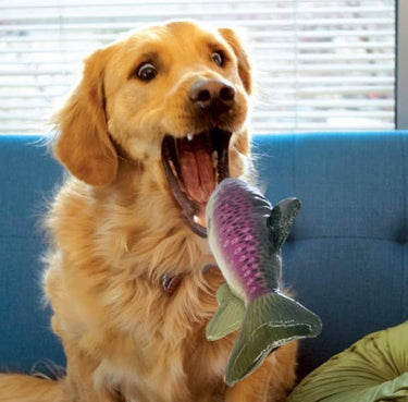 KONG® Wild Shieldz Trout Dog Chew Toy Medium