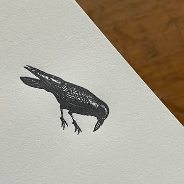 Stationery / Crow