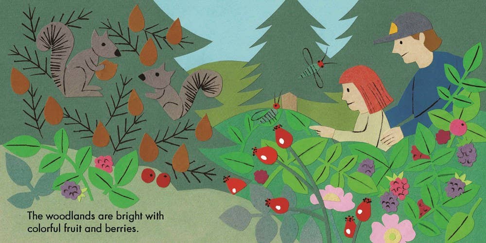 Little Observers: Go Camping