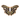 Lunar Floral Moth Enamel Pin